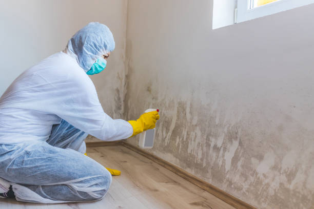 Crawl Space Mold Removal in Gunnison, UT