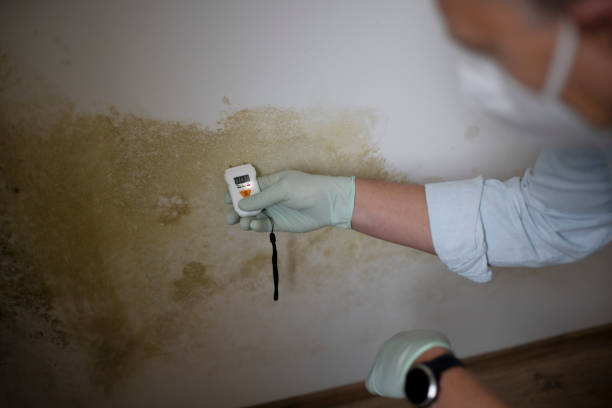 Gunnison, UT Mold Removal Company